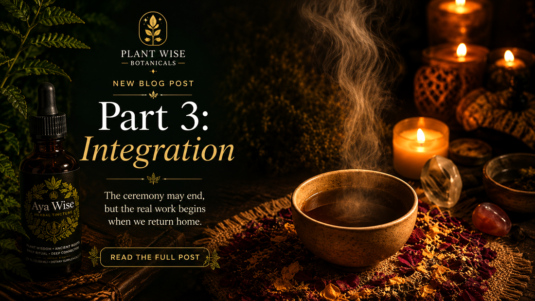 After the Ceremony: Integration & the Aya Wise Journey (Part 3 of 4)