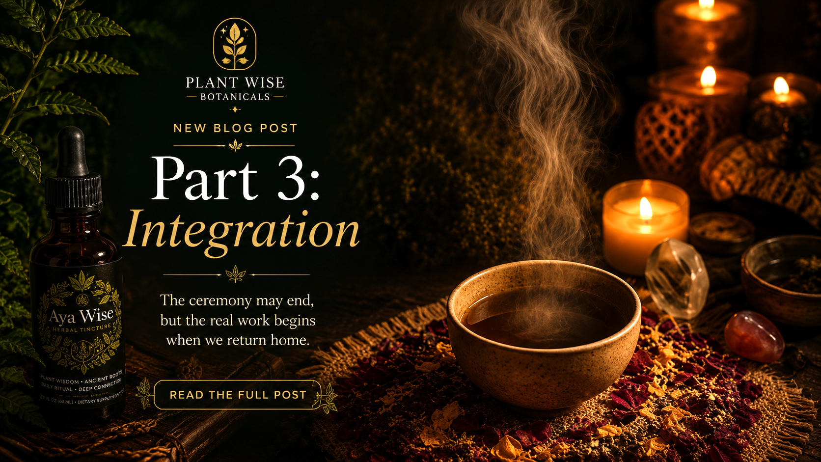 After the Ceremony: Integration & the Aya Wise Journey (Part 3 of 4)