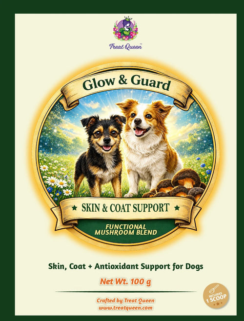 Glow & Guard™ — Functional Mushroom Dog Topper